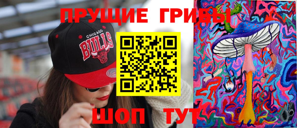 Азнакаево  Псилоцибиновые грибы MAGIC MUSHROOMS  наркота  Вход с VPN 