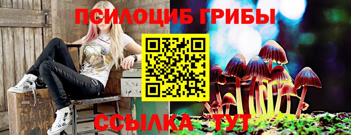 Псилоцибиновые грибы прущие грибы Азнакаево
